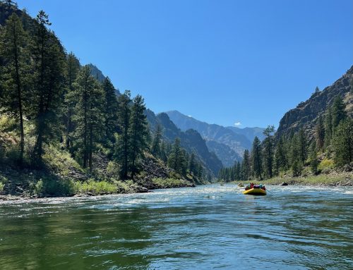 6 Reasons Why We Love Being Screen-Free on the River